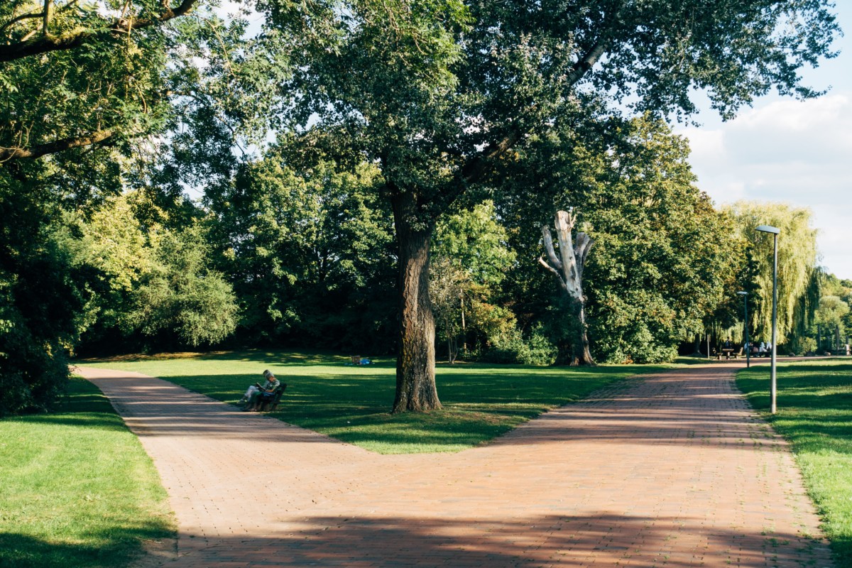 コネチカット州ノーウォークで地元の人に人気の 7 つの公園 - XNUMX