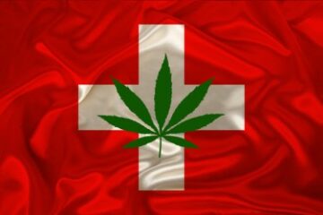 Несколько сотен человек в одном швейцарском городе смогут попробовать рекреационную марихуану в рамках большого социального эксперимента