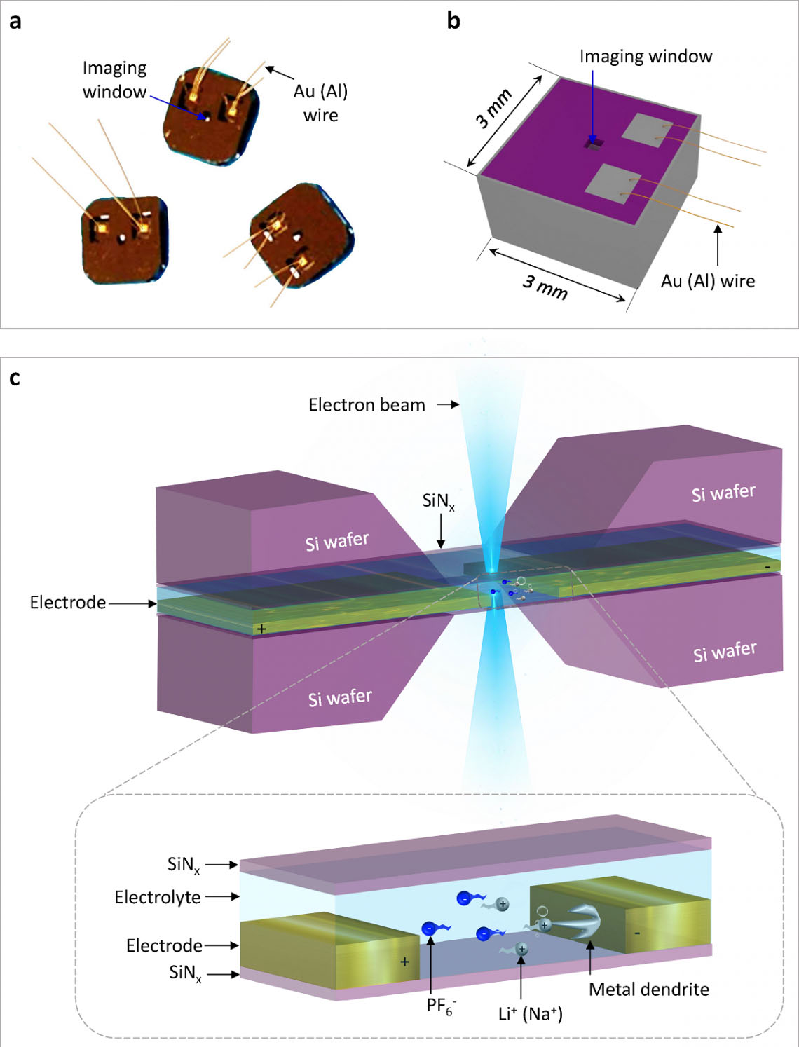 Nowatorskie urządzenie umożliwia obserwację w wysokiej rozdzielczości procesów dynamicznych w fazie ciekłej w nanoskali (z wideo)