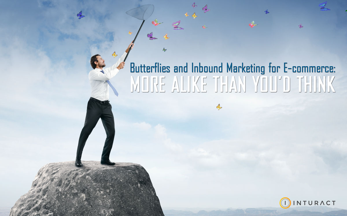 Butterflies-and-Inbound-Marketing_1200