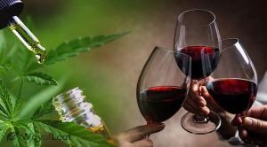 CBD Şarap Pazarı 112.5'e Kadar 2031 Milyon Dolar Kazanacak | Aurora Cannabis, Inc., Bodegas Santa Margarita, Callmewine – Dünya Haberleri Raporu