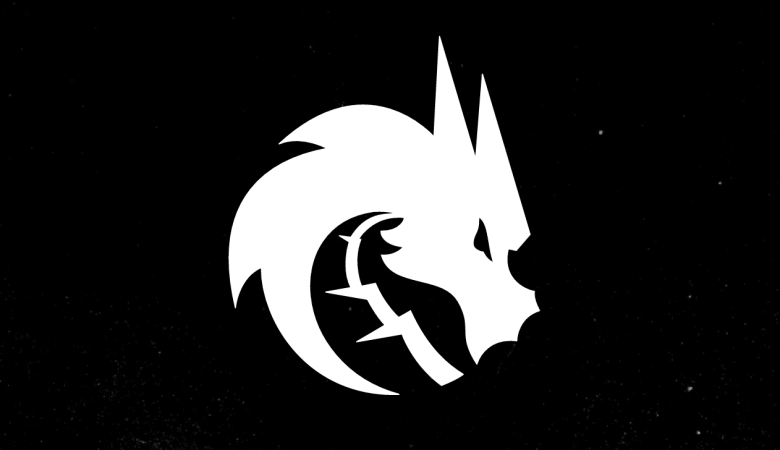 The Team Spirit logo, a stylized dragon's head, appears in white on a black background