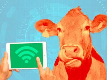 Πέντε έξυπνες περιπτώσεις χρήσης IoT Agriculture