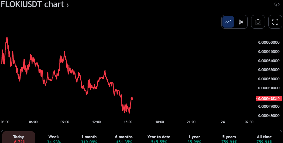 FLOKI/USDT 24-hour price chart (source: TradingView)
