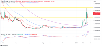FLOKI Price Prediction: Here Is Why This Dog-Themed Meme Coin Exploded 25.5% To $0.000052