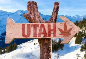 Guess What Conservative Utah's Biggest Cash Crop Is Now? - Yep, Weed!