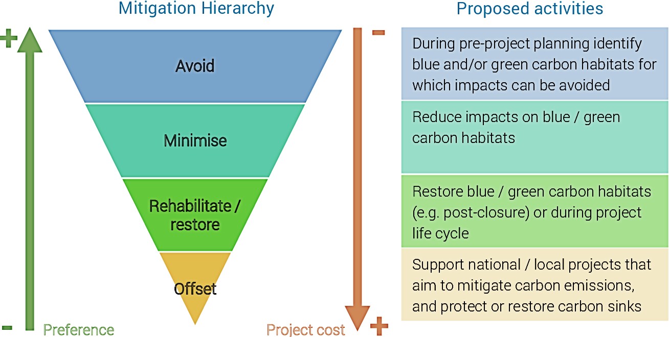 ¿Cómo funcionan los créditos de compensación de carbono? (Guía 2023)
