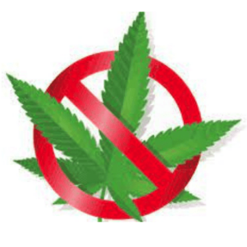 Hur man avslöjar påstådda cannabisskador
