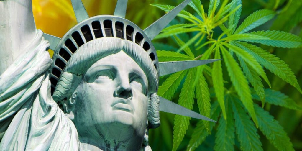 how to grow cannabis in USA as per legal guidelines
