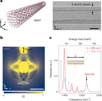 Hyperbolske hviske-galleri phonon polaritoner i bornitrid nanorør