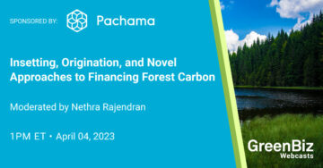 Inzet, oorsprong en nieuwe benaderingen voor de financiering van boskoolstof