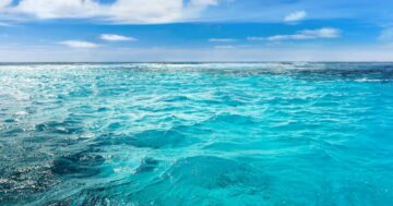 Ustvarjanje valov: tehnološko podjetje debitira s protokolom za odstranjevanje ogljika iz oceana