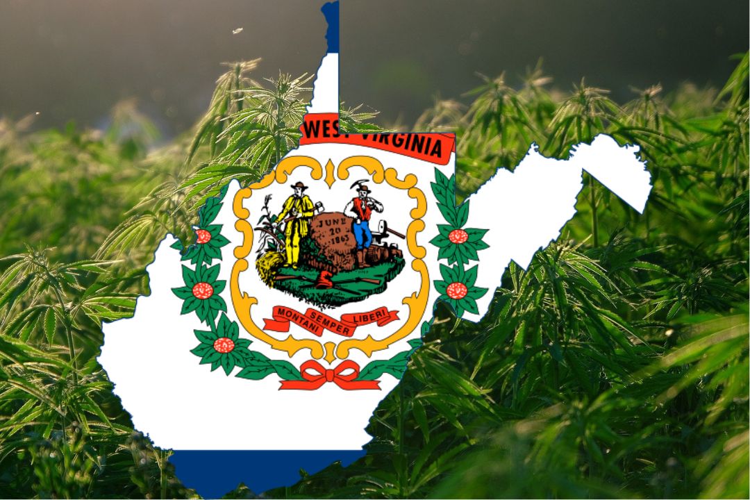 웨스트버지니아주의 의료용 대마초 법률 – WV에서 대마초는 합법입니까?