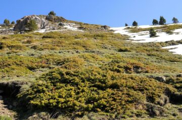 De recente daling van het sneeuwdek in de Alpen is 'ongekend' in de afgelopen 600 jaar