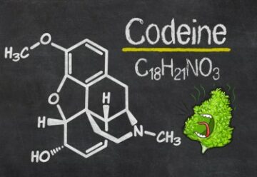 Buruiana de agrement reduce cererea de codeină spune un nou studiu - o altă victorie pentru canabis vs. opioide