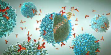 Wetenschappers ontwikkelen AI-algoritmen om op kankerbestrijdende antistoffen te jagen