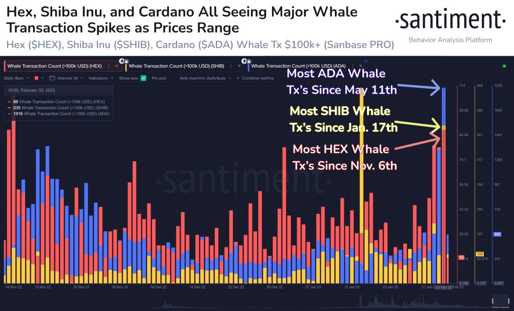 Shiba Inu és Cardano 100,000 XNUMX dollár feletti bálnatranzakciók hatalmas megugrásának tanúi – állítja a Crypto Analytics cég