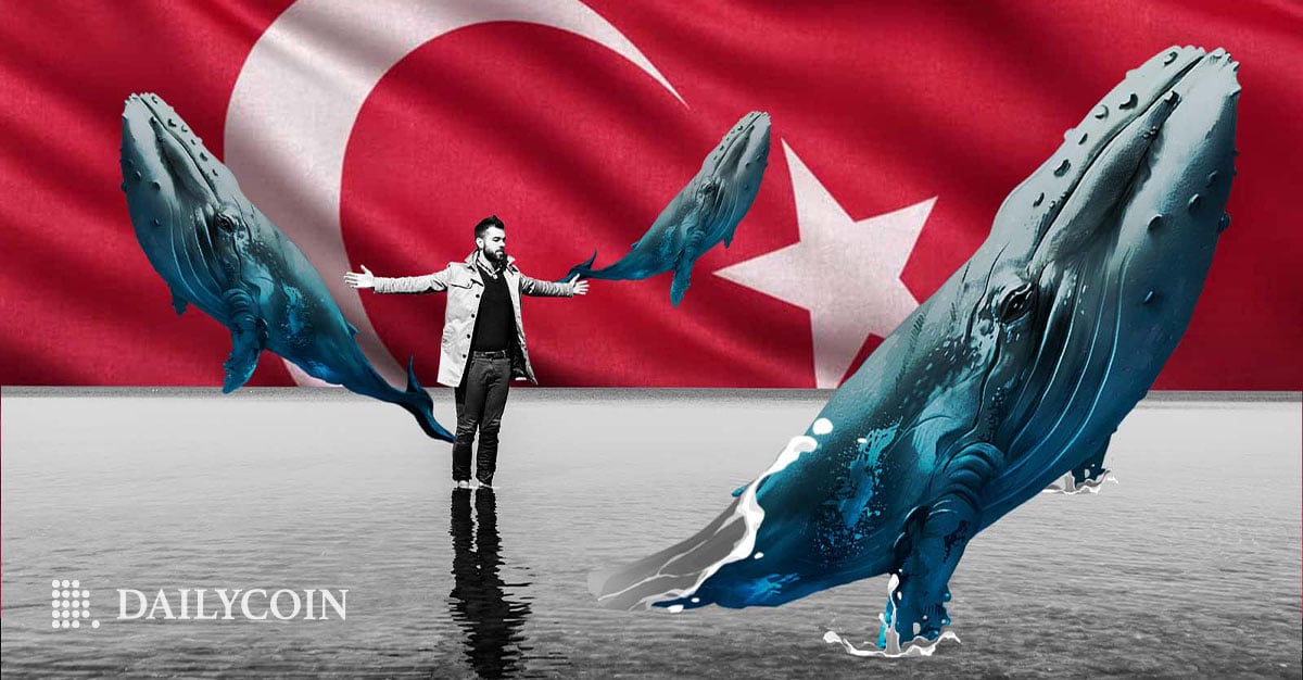 Lo sviluppatore principale di Shiba Inu (SHIB) esorta le balene ad aiutare la Turchia