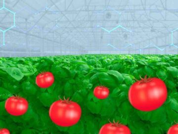 Smart Farming and IoT Solutions Empower Farmers