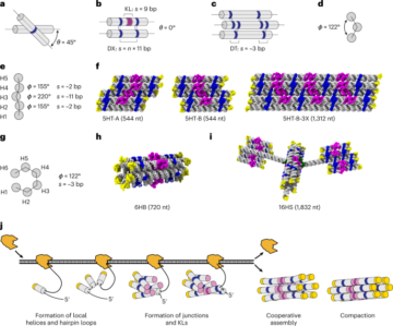 Structure, folding and flexibility of co-transcriptional RNA origami