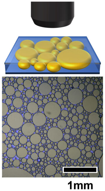 اولین مدلی که روش‌هایی را که ذرات با اندازه‌های مختلف می‌توانند با هم گیر کنند را توصیف می‌کند