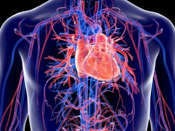 A crescente importância do mês nacional da saúde do coração