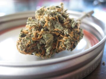 Those on probation denied medical marijuana