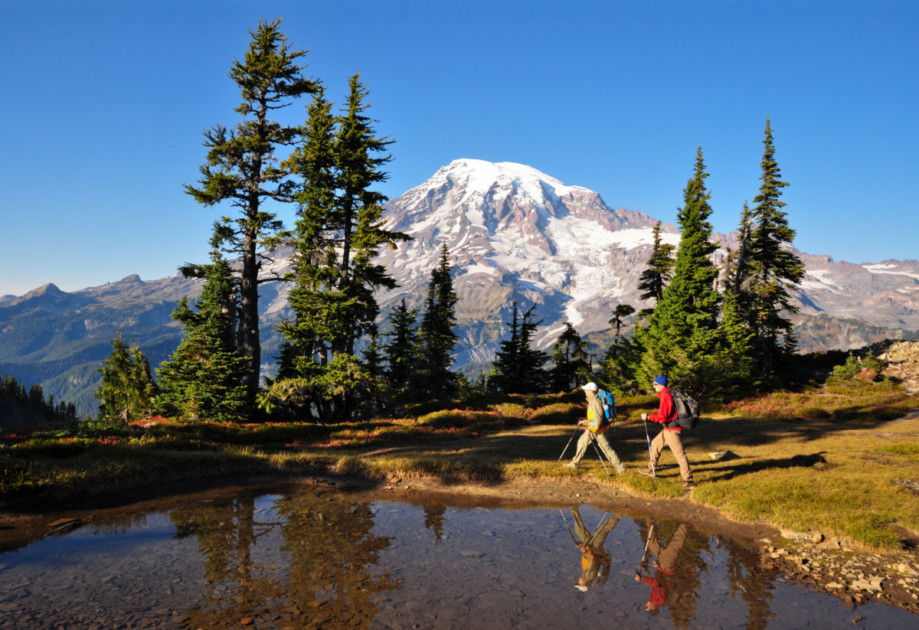 Dwóch turystów spaceruje obok małego stawu w Parku Narodowym Mount Rainier