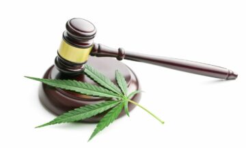 Washington State Cannabis Residency Krav opretholdt af Federal Court