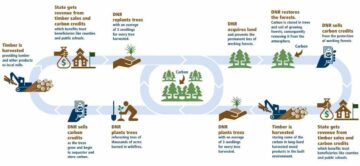 ワシントンの天然資源局は、森林からの炭素クレジットの生成を促します