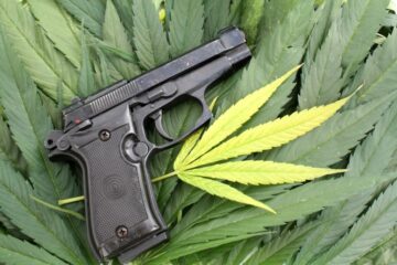 Will Gun Control Laws Soften for Cannabis Users?