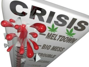 Onko marihuanateollisuus 51 miljardin dollarin arvoinen vuoteen 2028 mennessä, kuten uusi raportti ehdottaa?