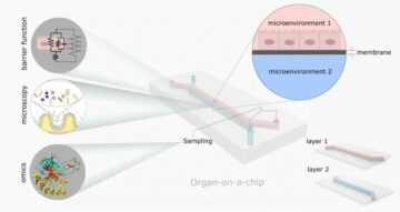 Het microbioom van je darmen, op een chip