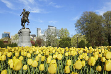 10 ting å gjøre i Boston om våren
