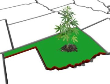2,600 家药房和现在增加休闲大麻，俄克拉荷马州可能出什么问题