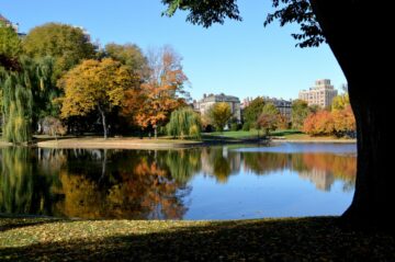 7 حدائق شهيرة في كامبريدج ، ماساتشوستس يحبها السكان المحليون