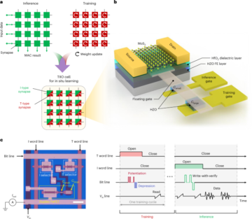 An in-memory computing architecture based on a duplex two-dimensional material structure for in situ machine learning