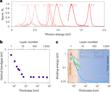 Siyah fosforda fotolüminesans kuantum veriminin anormal kalınlık bağımlılığı