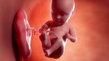 Física del bebé: concepción, embarazo y primeros años de vida