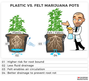 Best pot container sizes for autoflowering seeds