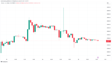 Bitcoin liquidations vanish as trader hopes $30K will hit before dip