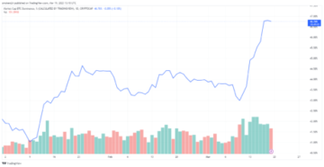 Bitcoin Market Dominance Hits 9-Month High As Altcoins Turn Red