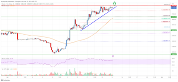 Bitcoin Price Analysis: BTC Could Extend Pump To $30K
