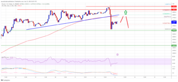Bitcoin Price Corrects But Uptrend Is Still Intact and BTC Could Rally Again