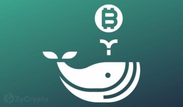 A Bitcoin áresése hatalmas „Buy The Dip” pillanatot robbant ki a bálnák számára, ahogy a BTC felhalmozódása fokozódik