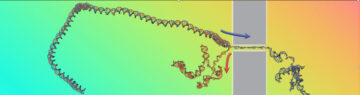ब्रेकिंग बॉन्ड: डबल-हेलिक्स अनजिपिंग से डीएनए भौतिकी का पता चलता है