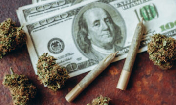 De verkoop van cannabis in deze saté daalt voor het eerst in vijf jaar