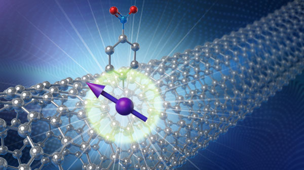 Karbon nanotüp, kuantum bitlerini döndürmek için ideal yuvadır