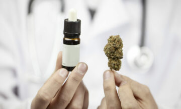 CBD Amplifies The Adverse Effects Of THC, New Study Finds