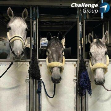 Challenge Handling: The Air Cargo Horse Whisperer, operating from Liege Airport